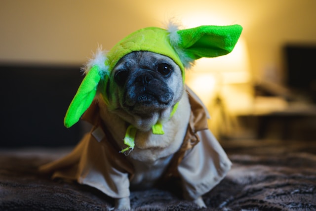 Disney Dog Names: 80+ Magical Picks from Beloved Characters